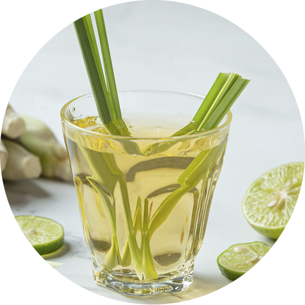 Lemon Grass Tea