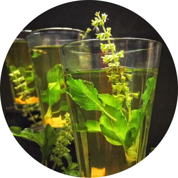 Lemon Tulasi Tea
